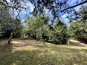 Photo 36- click for photo gallery